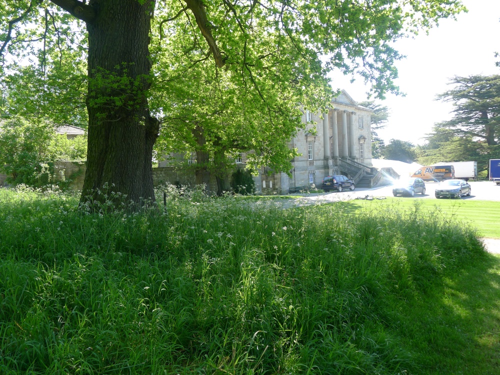 Constable Burton Hall