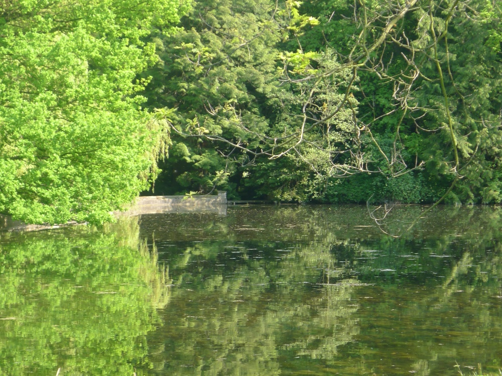 Lake at Thorp Perrow Arboretum