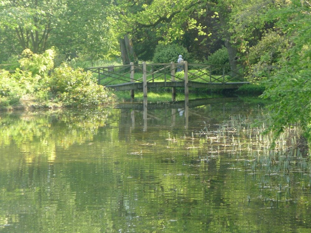 Footbridge at Thorp Perrow Arboretum