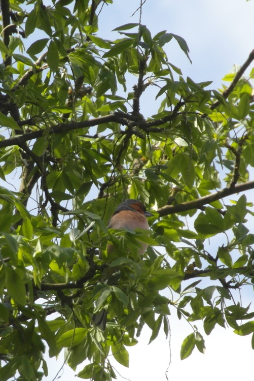 High life at Jane Austen's House.