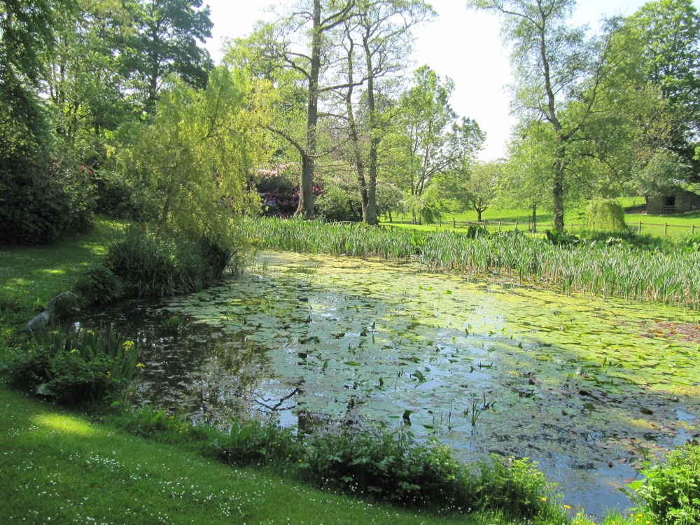 Lily Pond, Constable Burton Hall Gardens photo by Ken Marshall