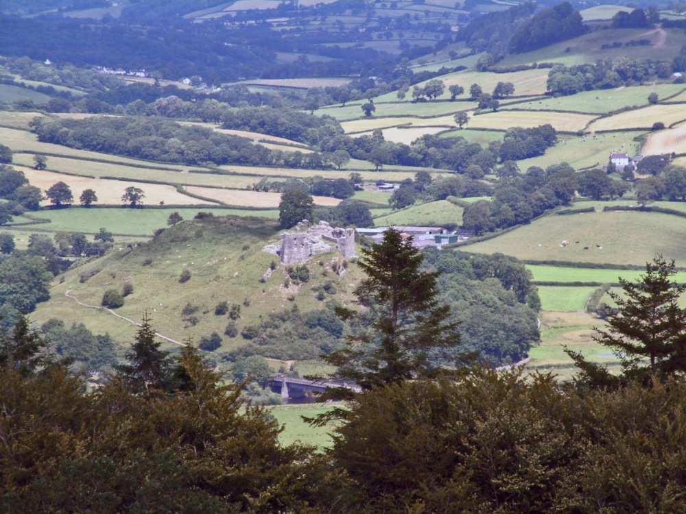 Dryslwyn Castle from Paxtons Tower