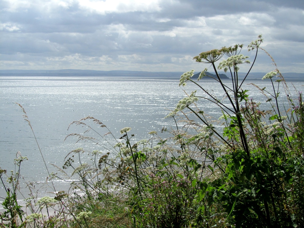 Firth Of Forth