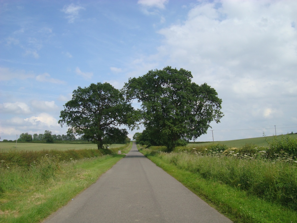 Ambion Lane towards Sutton Cheney