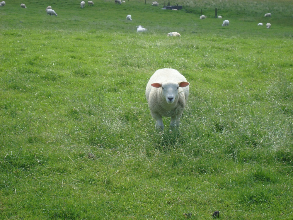 And you who such? photo by Victor Naumenko