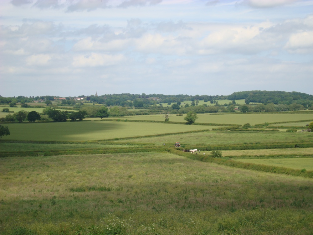 Surrounding landscape from Ambion Hill photo by Victor Naumenko