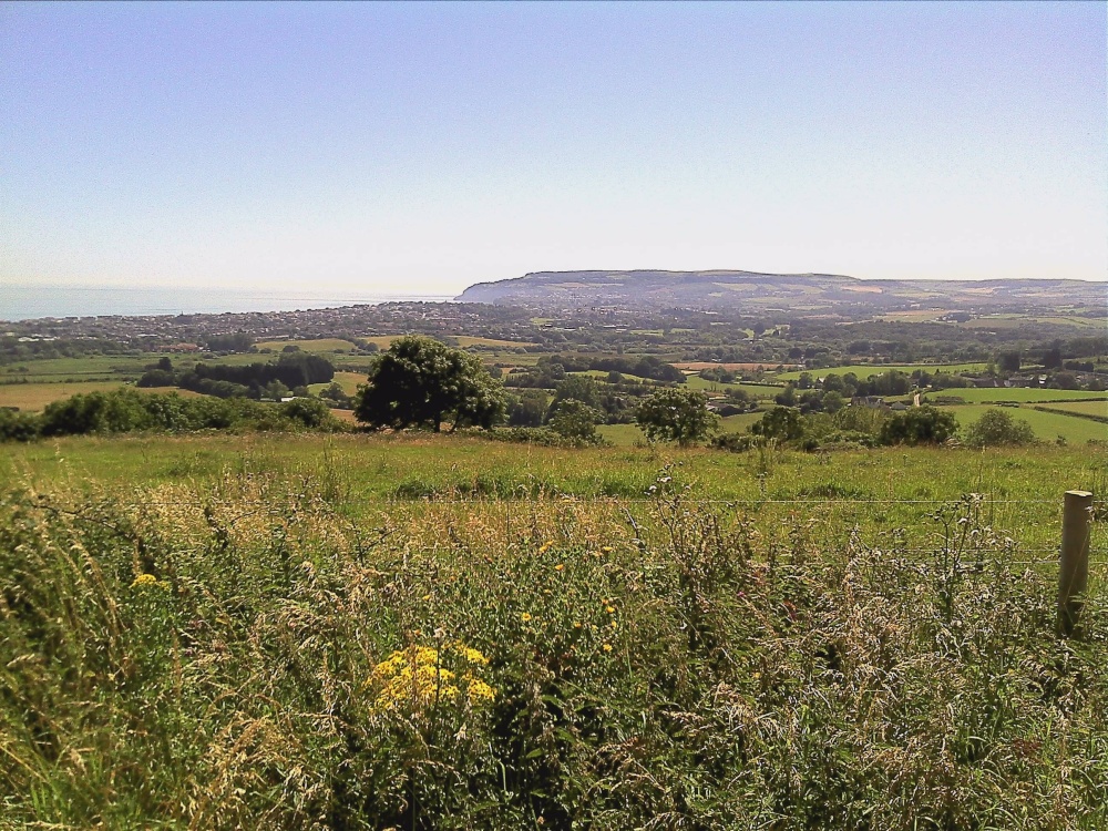 Viewpoint Ventnor