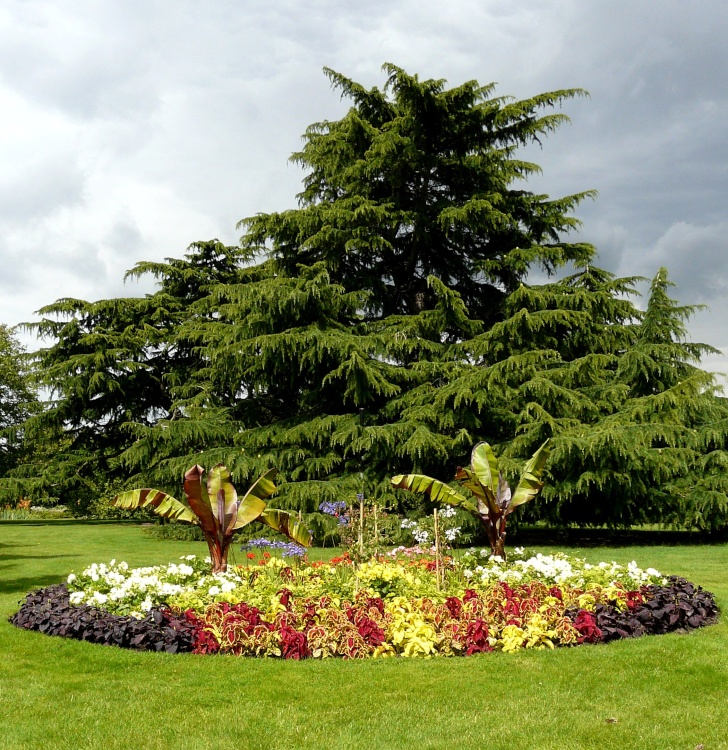 Greenwich Park Flower Garden