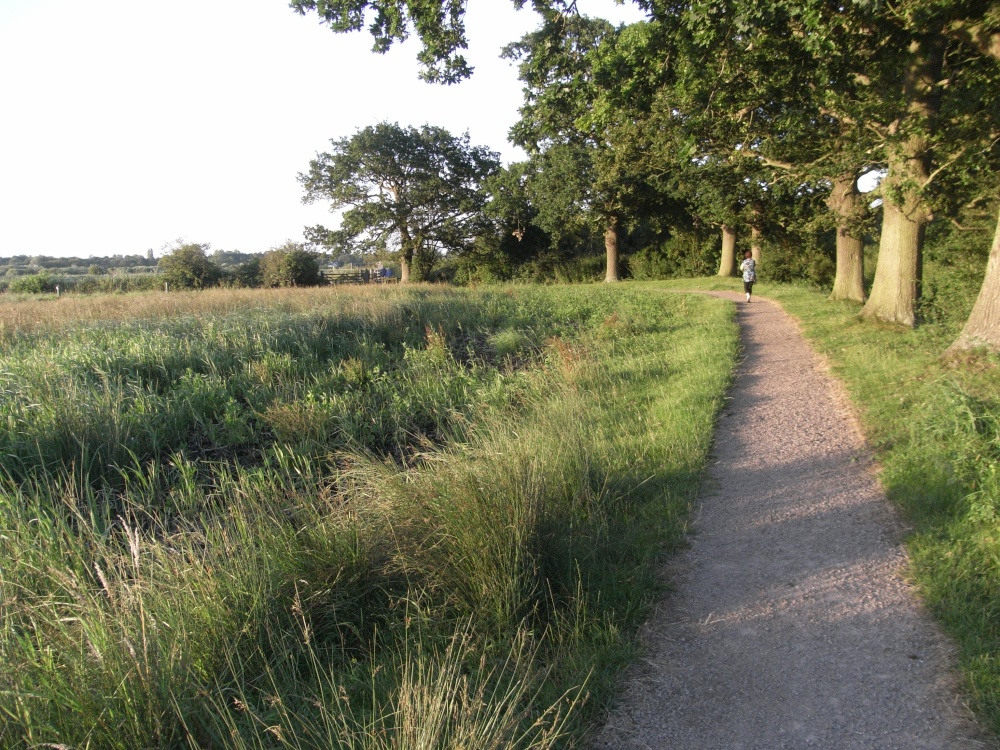 Carlton Marshes