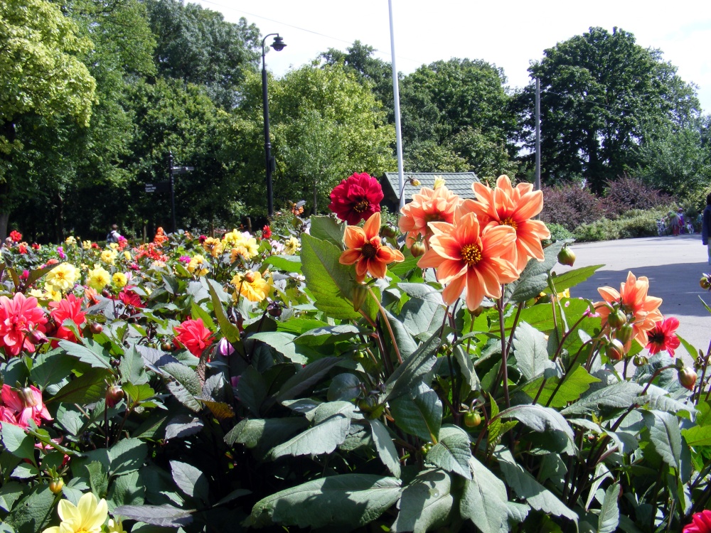 Valentines Park, Ilford