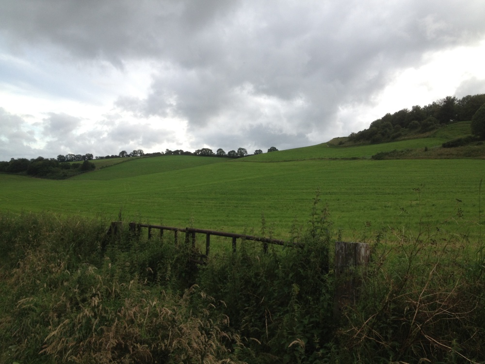 Landscape around Plush, Dorset