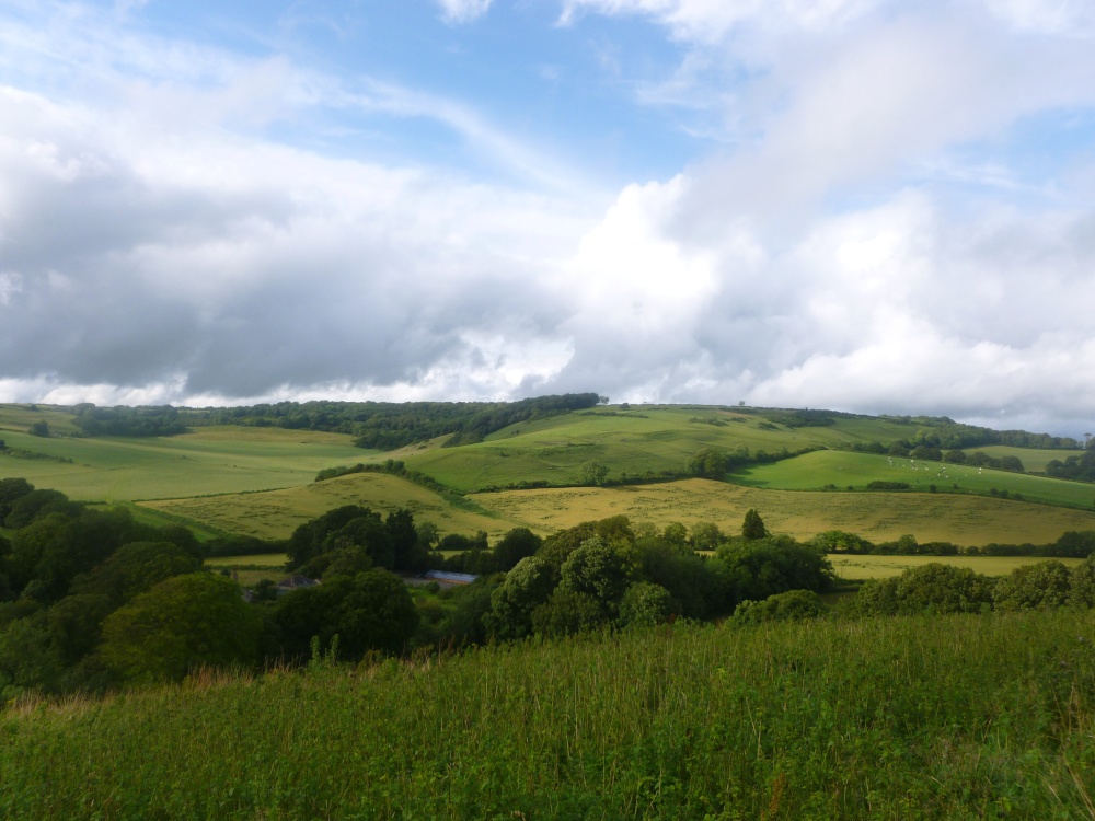 Landscape around Plush, Dorset