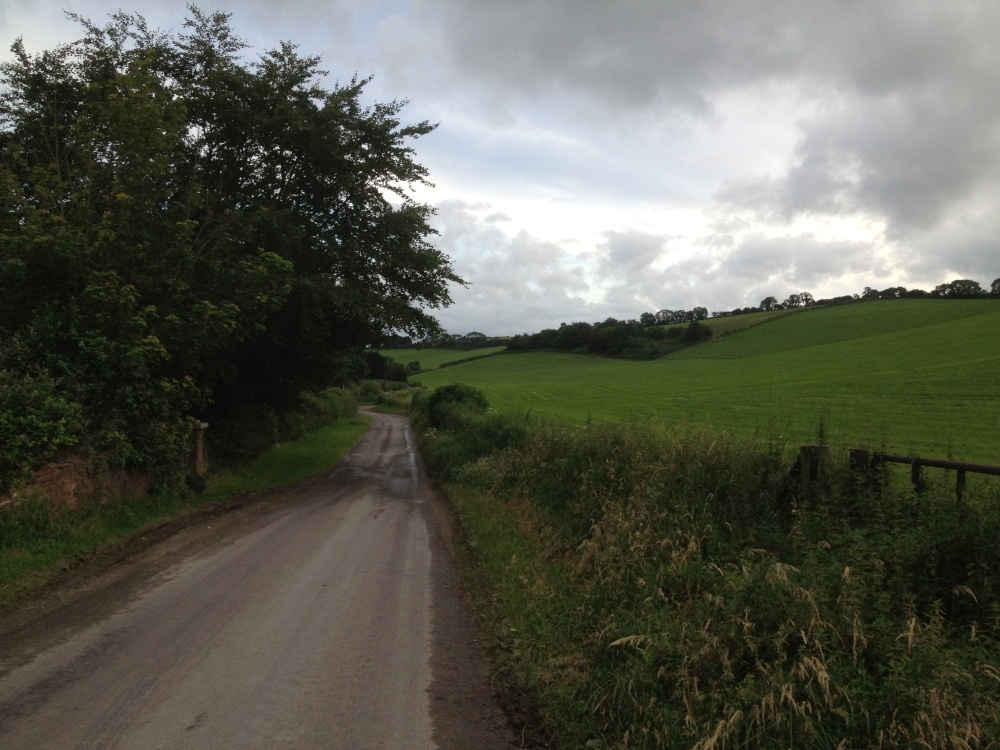 Single lane road leaving Plush, Dorset