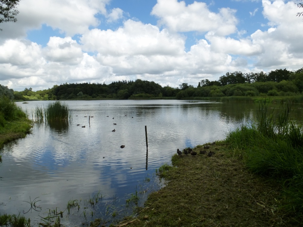Tern Hide, Warnham Nature Reserve