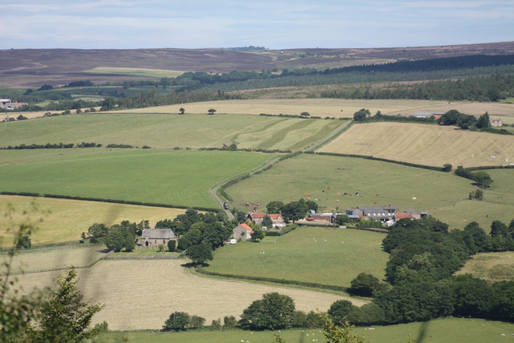Harwood Dale