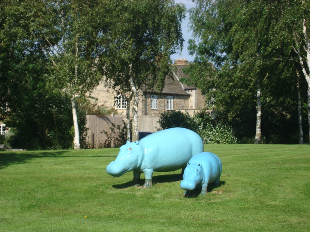 Turquoise Hippos in Barnsdale Avenue
