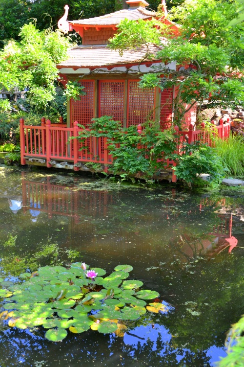 The Japenese Garden