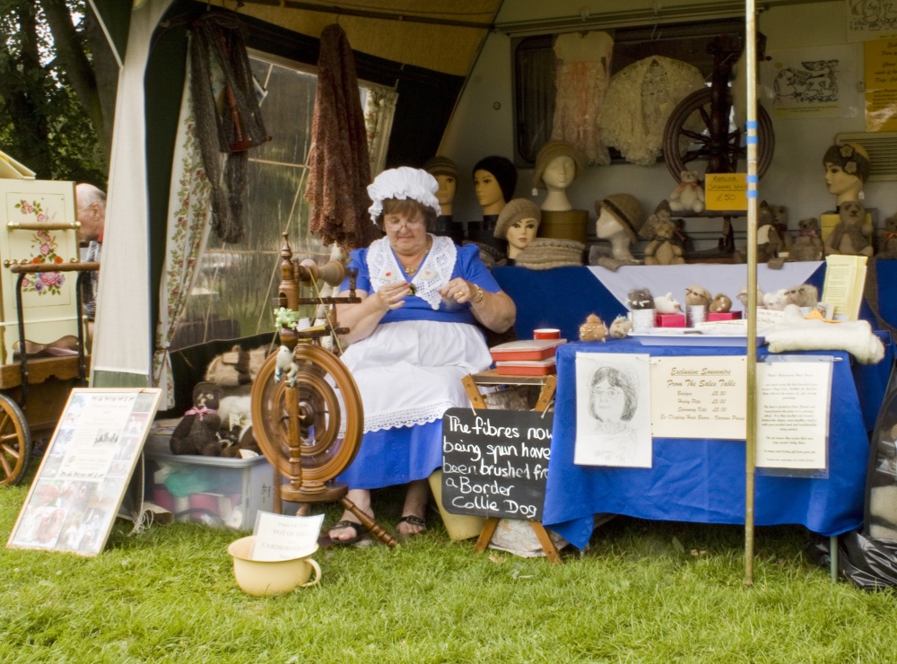 Hull East Park Veterans War Weekend