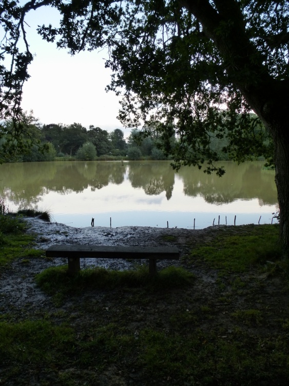 Fourwents Pond View