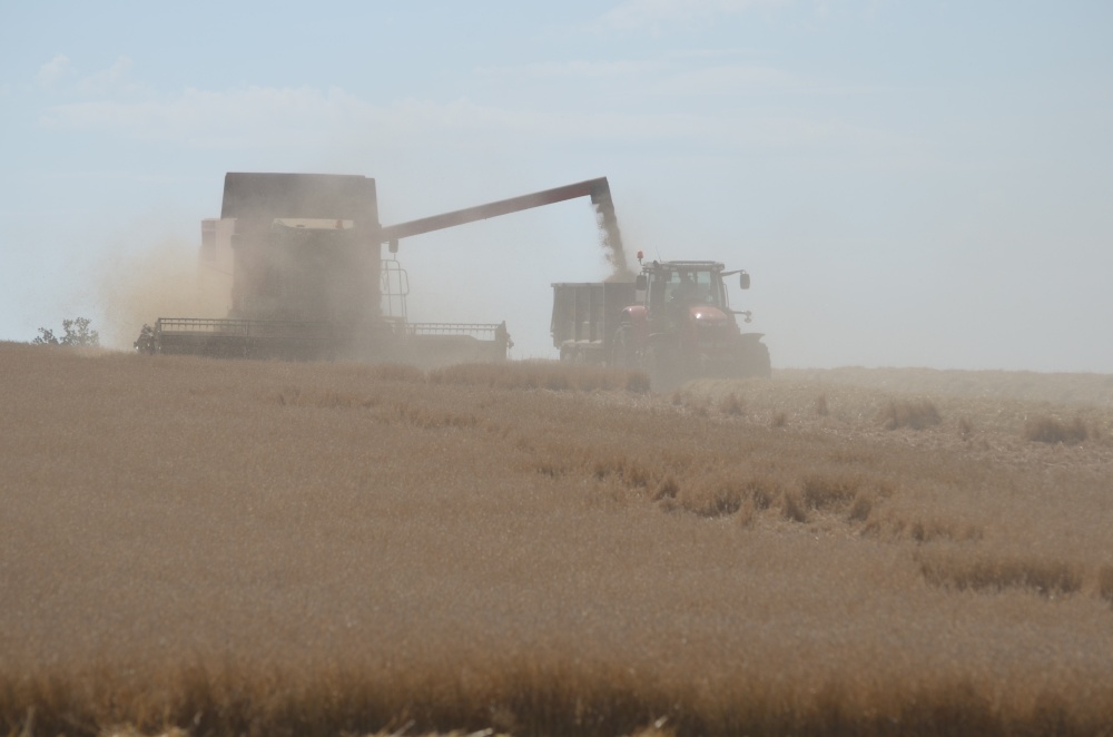 Harvest Time, Barkby