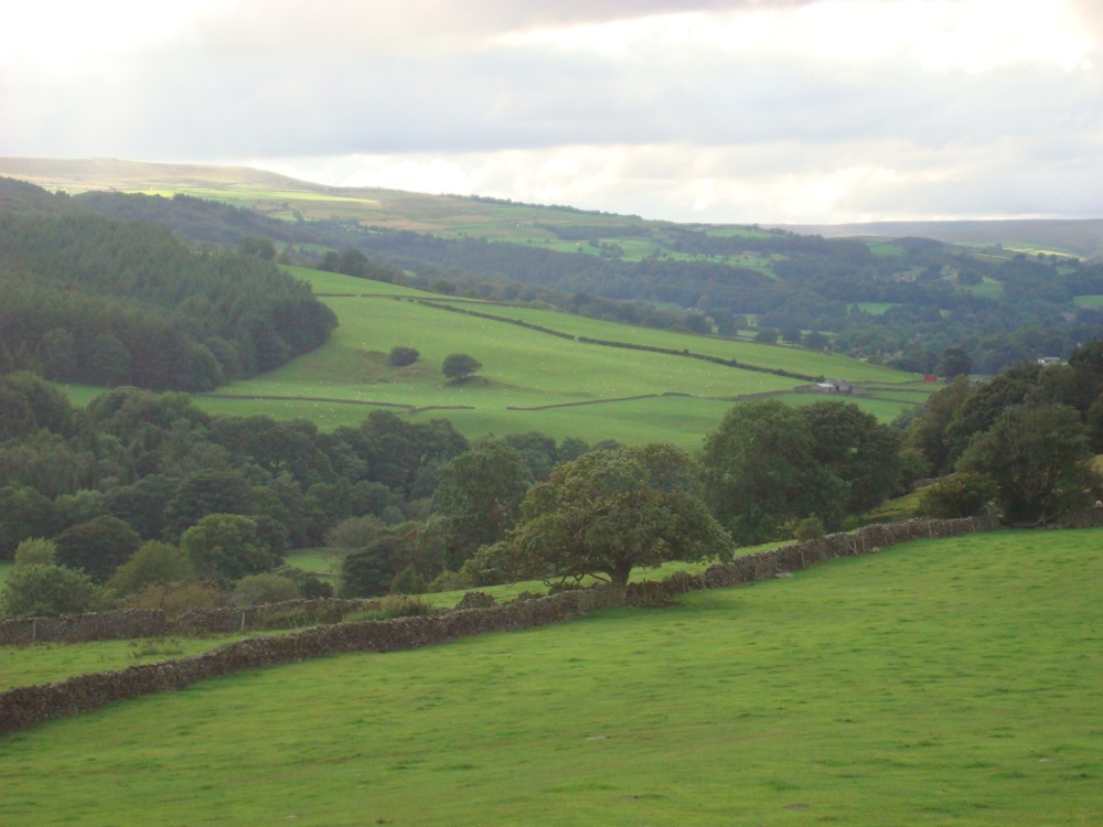 Photograph of Nidderdale