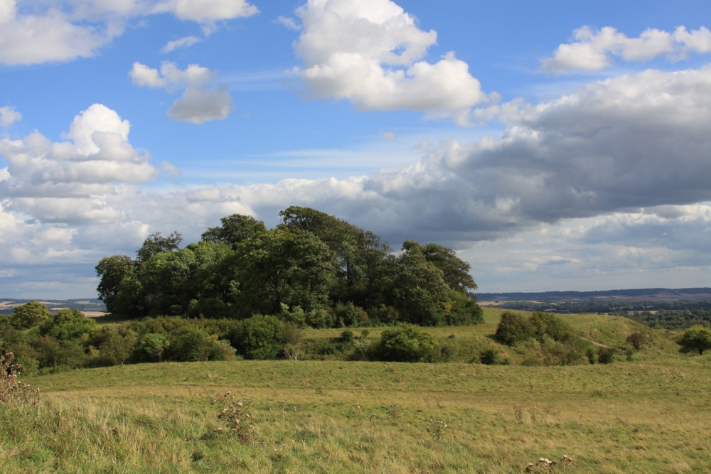 Castle Hill, Wittenham Clumps