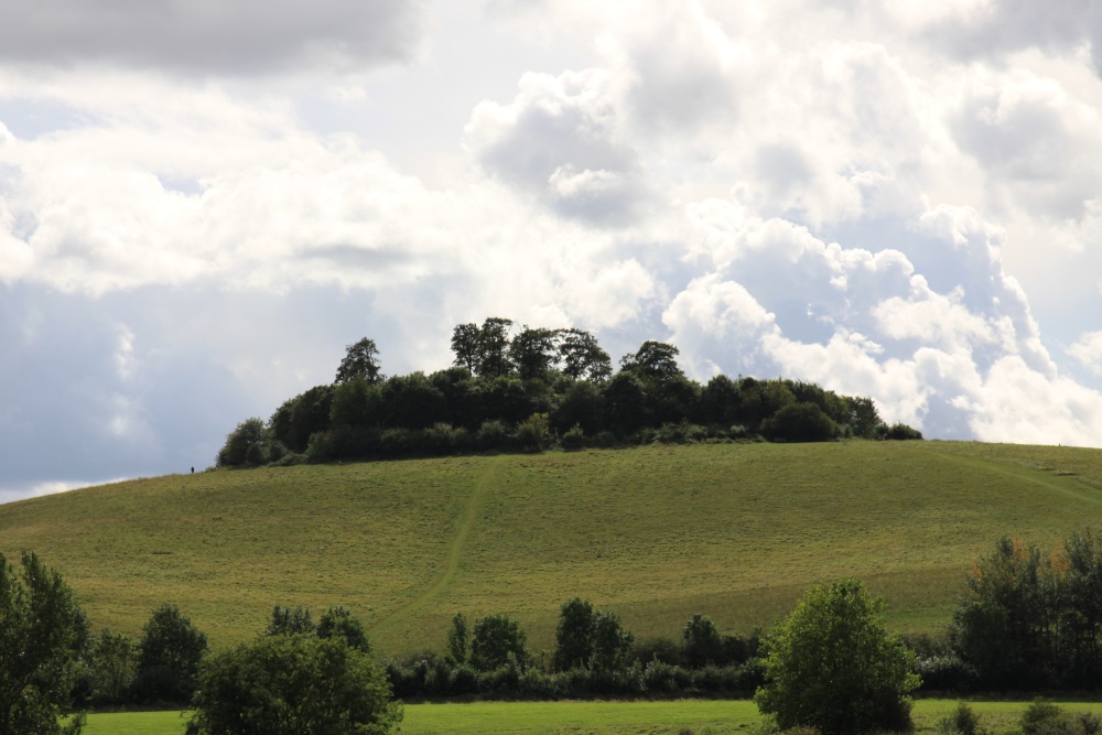 Round Hill, Wittenham Clumps