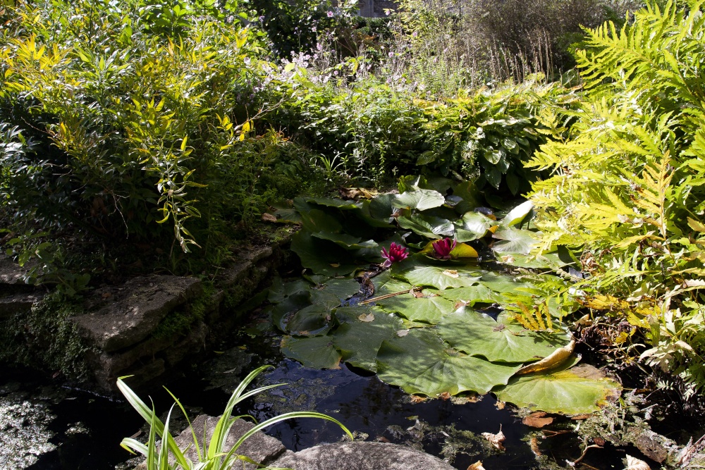 The Courts, Holt, Wiltshire photo by Colin Jones