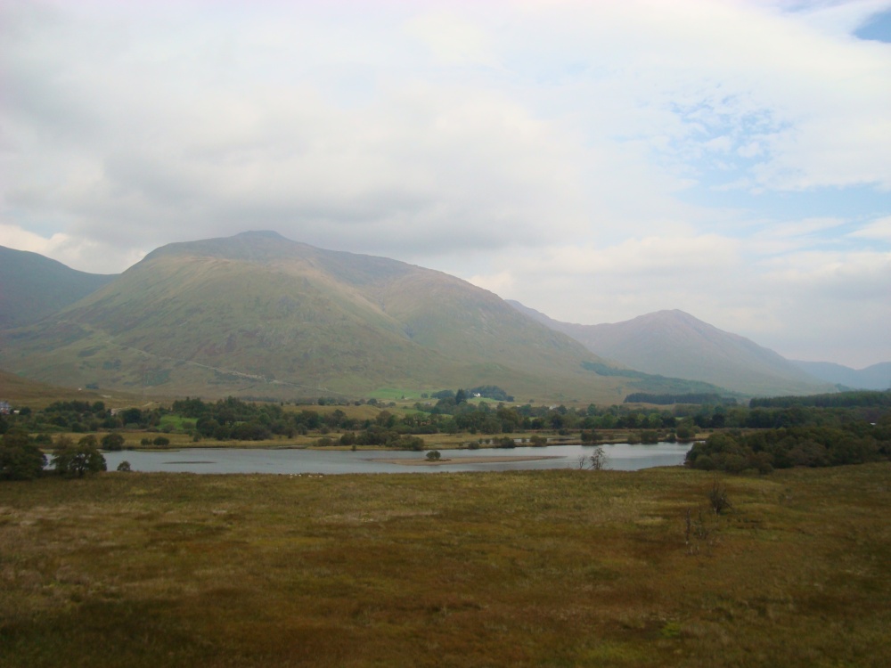 Lochside grazing