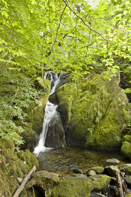 Stock Ghyll 1