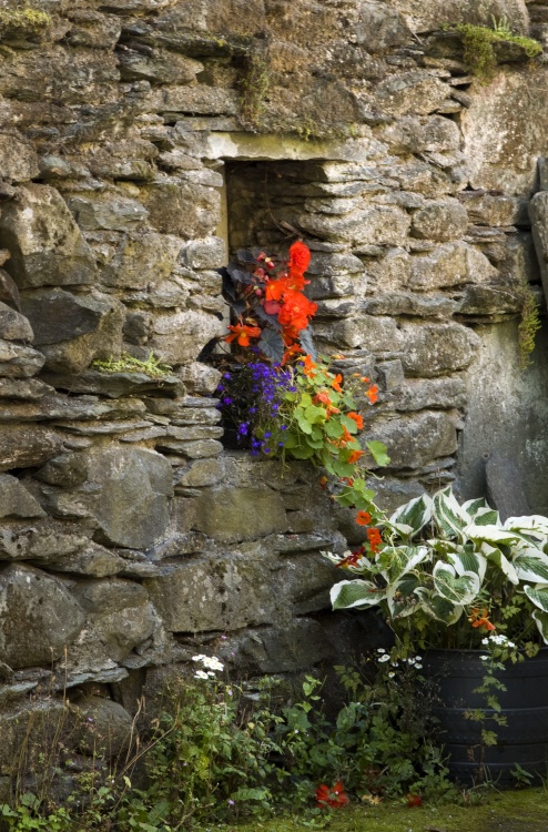 Beer Garden Golden Rule