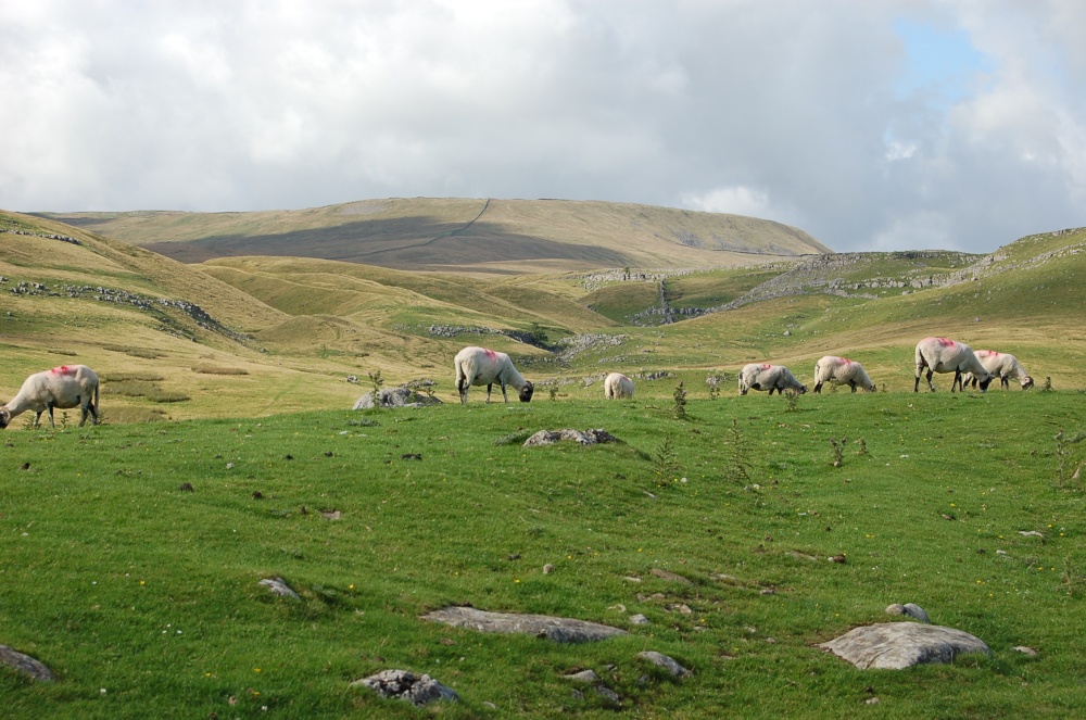 Yorkshire Dales