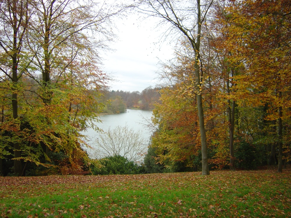 Photograph of The Lake at Blenheim Palace, Woodstock