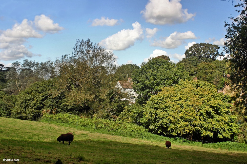 Sandford Orcas, Dorset.