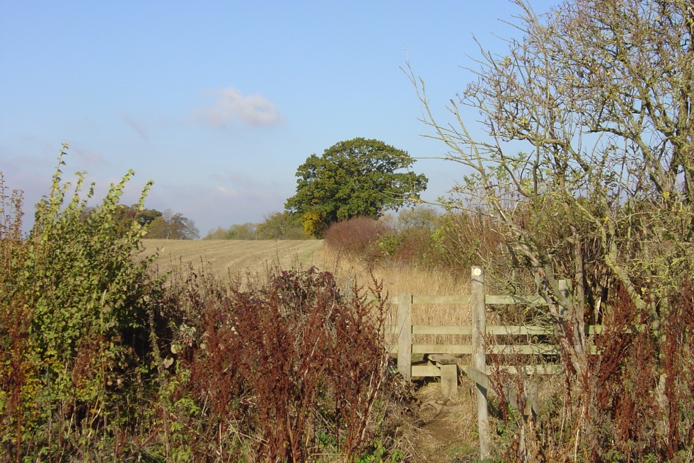 Photograph of Country walk to Hampton Gay, Oxfordshire