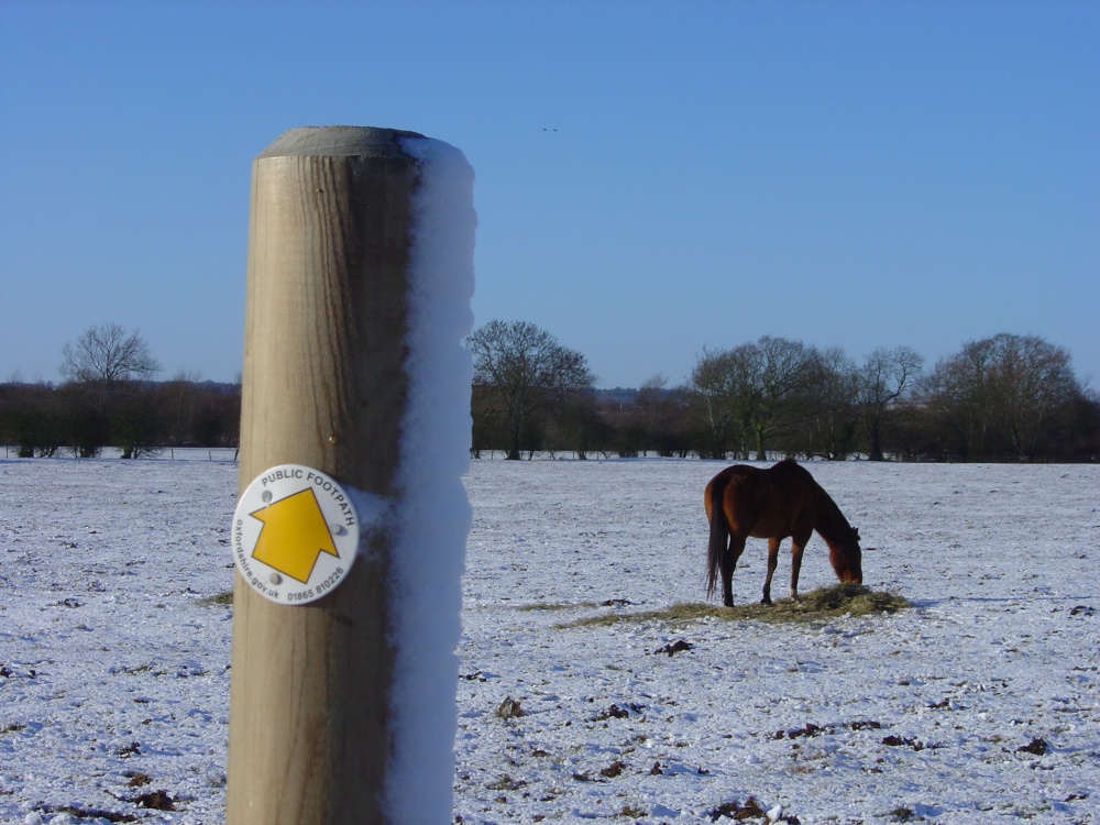 Photograph of Over the fields to Shipton on Cherwell, Oxfordshire