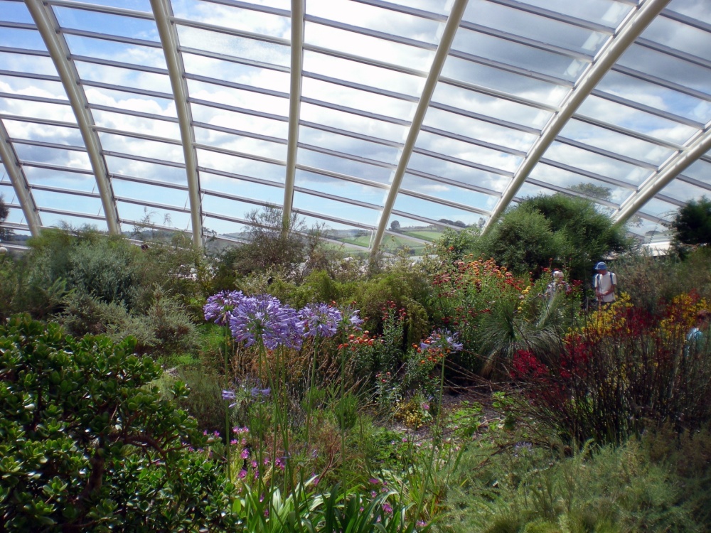 National Botanic Garden of Wales - the Great Glasshouse photo by P. G. Wright