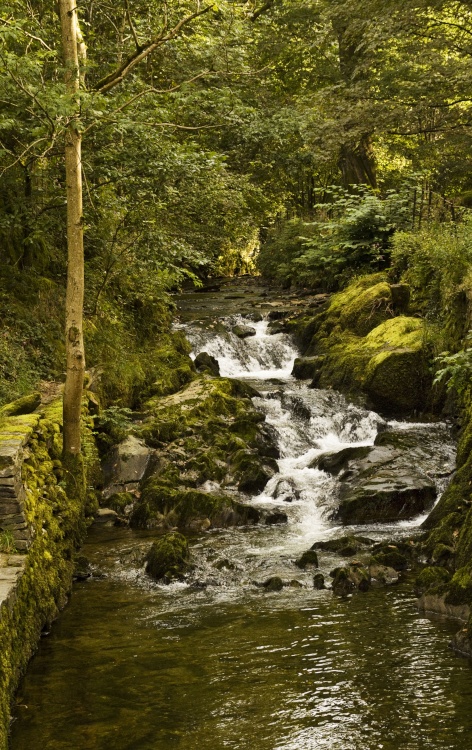 Stock Ghyl, Ambleside