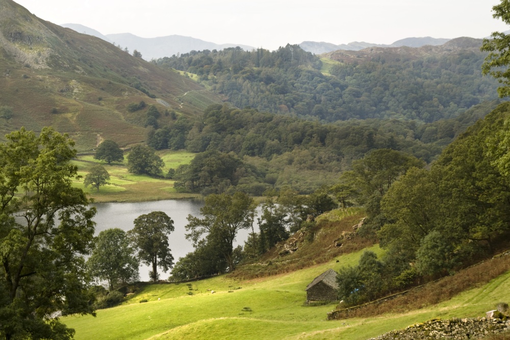 Loughrigg terrace again