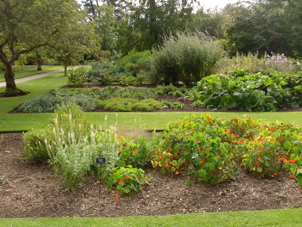 Oxford, the Botanical garden