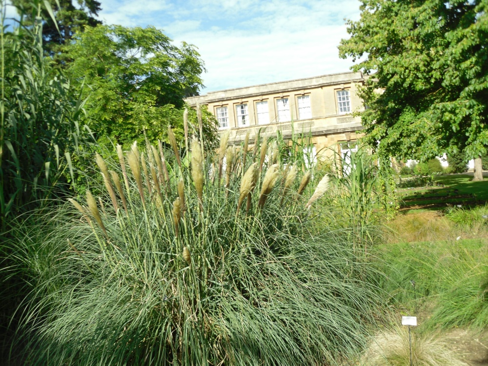 Oxford, the Botanical garden