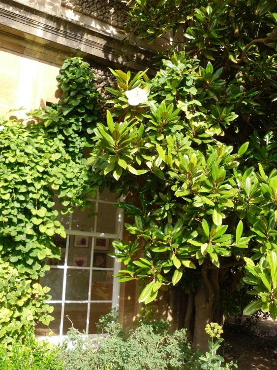 Oxford, the Botanical garden