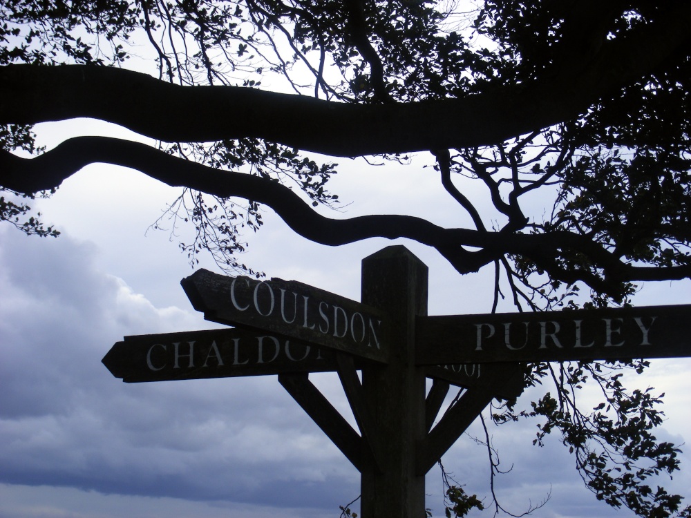 Farthing Downs, Coulsdon