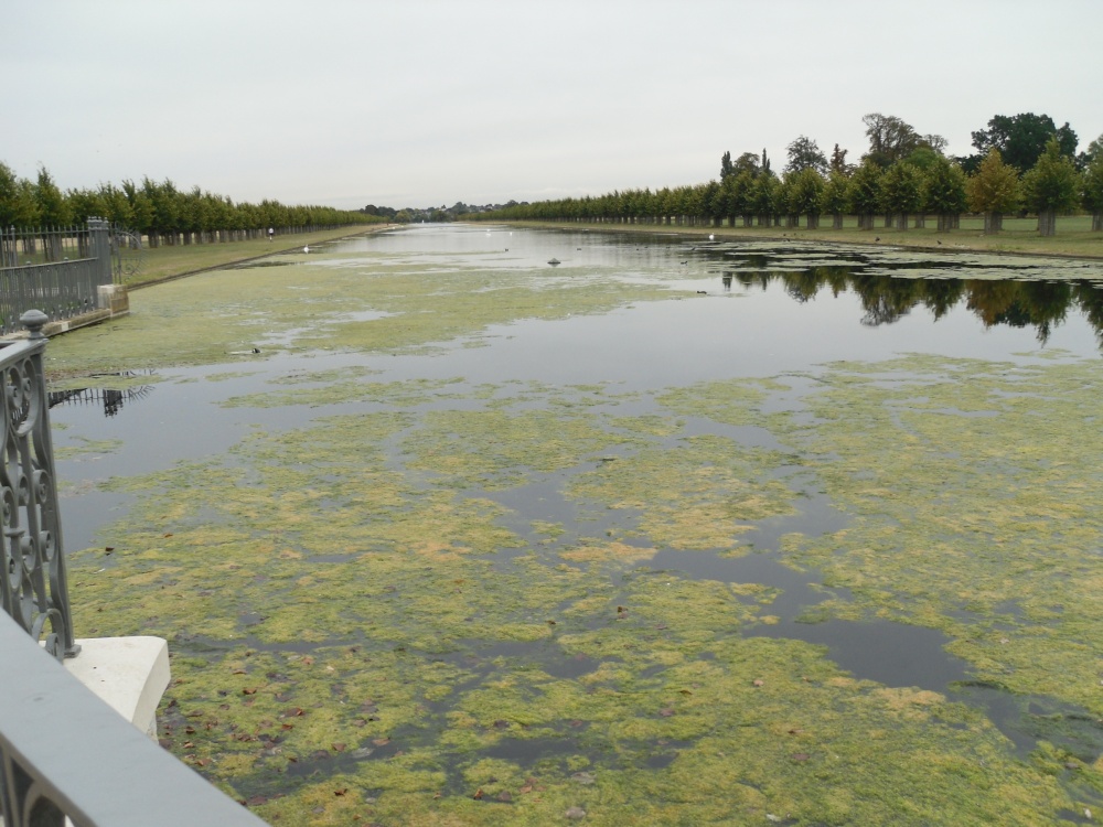 The Hampton Court Palace and the River Thames