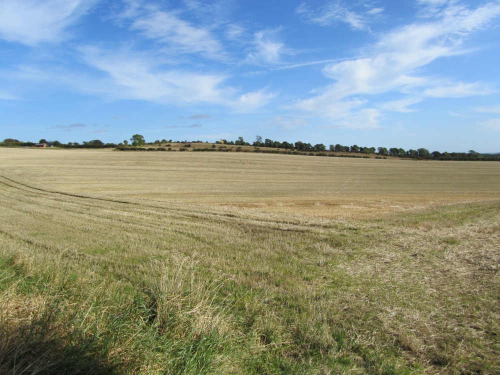 Photograph of Farmland