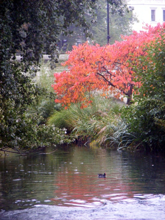 St James Park, London
