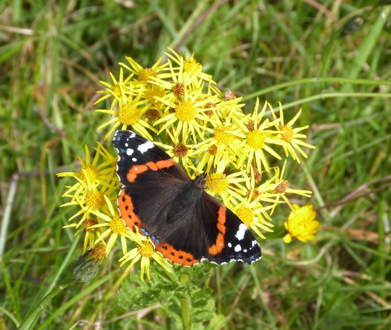 Photograph of Newport- on- Tay