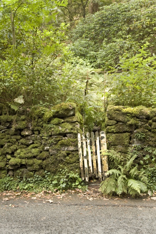 Old gate Grasmere