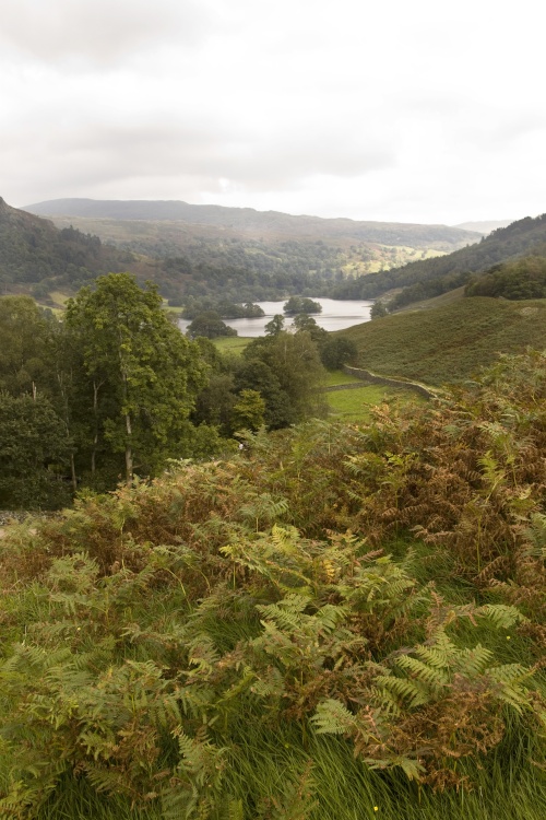 Rydal Water from Loughrigg Terrace