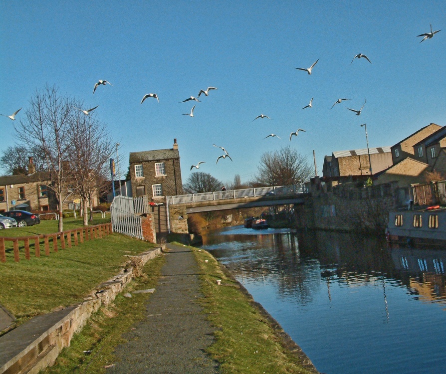 Photograph of Looking along the Canal in Mirfield